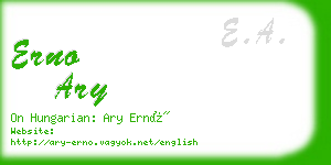 erno ary business card